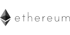 partner-image